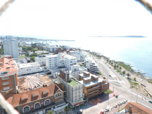 Apartamento Con Vista Increíble A La Bahía , Isla Y Rambla Mansa 