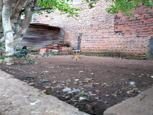 Imagem 8 de 8 de Terreno Cidade Patriarca São Paulo/sp - 1505