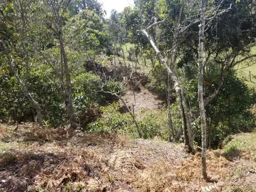 Lote En Venta En Paraje Cabeceras. Cod V12135
