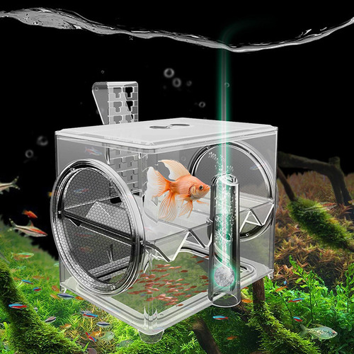 Caja De De Peces Aquarium Caja De Alimentación De Acuarios