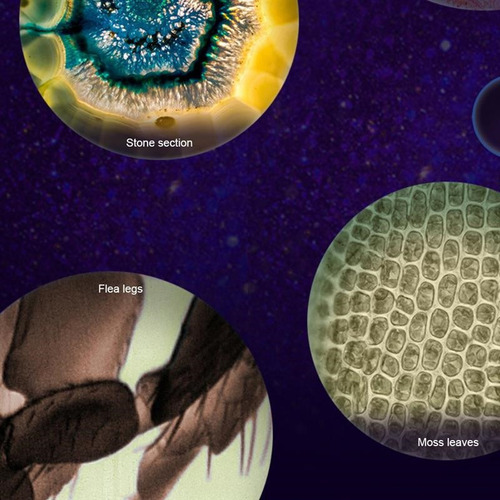 Microscopio Óptico Portátil De Mano L Juguete