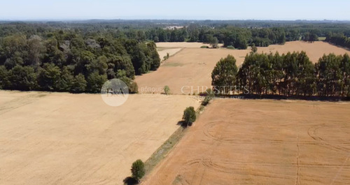 Imagen 6 de 9 de 20775 - Campo En Purranque