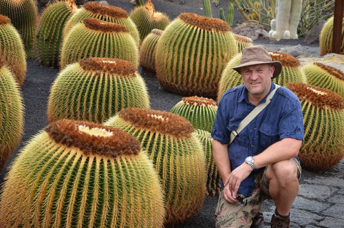 Cacto Cadeira De Sogra Bola Cactus Barril Flor Sementes | MercadoLivre