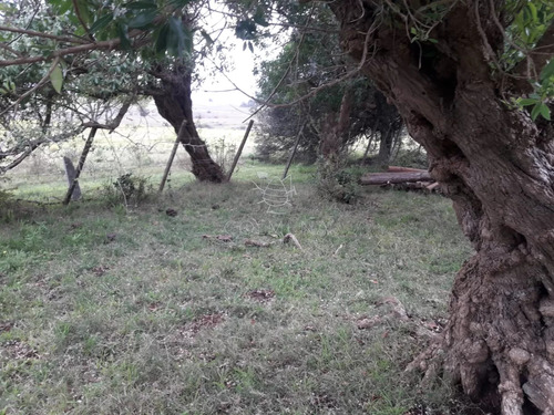 Campo 21 Has En Paraje José Ignacio