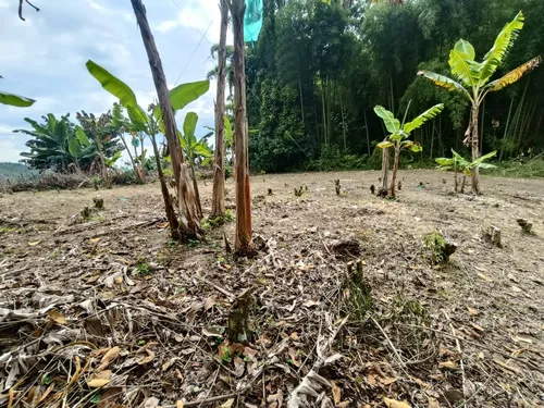 Se Vende Finca Quebradanegra Calarcá Quindío