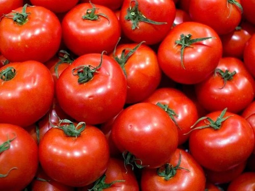 Semillas Organicas Tomate Redondo Platense - 100% Naturales