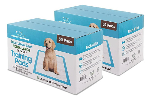 Best Pet Supplies - Paquete De 100, Ultra Absorbente.