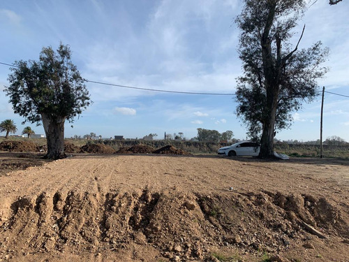 Terreno En  Venta En Arana