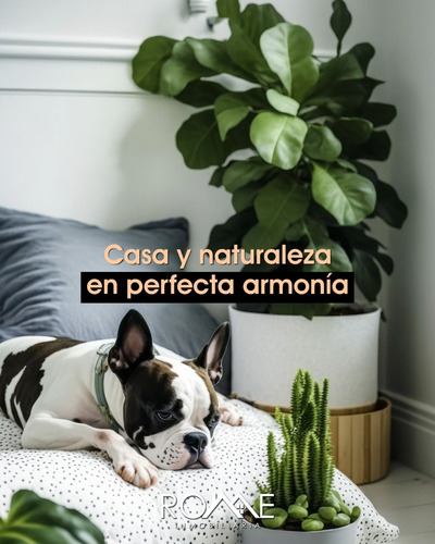 Departamento En Venta Sadi Carnot # 10, Col. San Rafael, Alc. Cuauhtemoc, Cp. 06470 Mlrc97