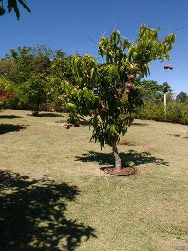 Imagem 14 de 15 de Ref.: 4004 - Casa Condomínio Em Itupeva Para Venda - V4004