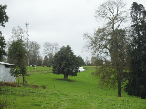 Agrícola En Venta En Paillaco