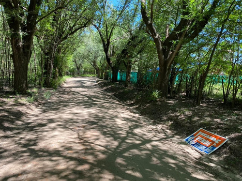 Imagen 5 de 5 de Cod 348 : Lote En Venta De 986m2 Ubicado En Casa Grande