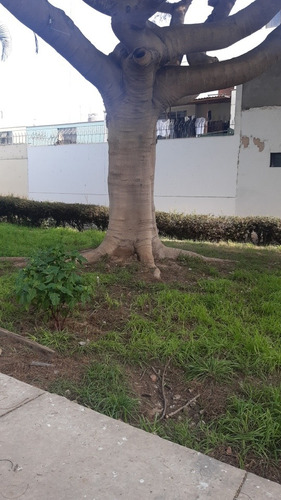 Imagen 9 de 10 de Rento Mini Surco/barranco Cerca Peñadelcarajo 10/10 Todo Inc