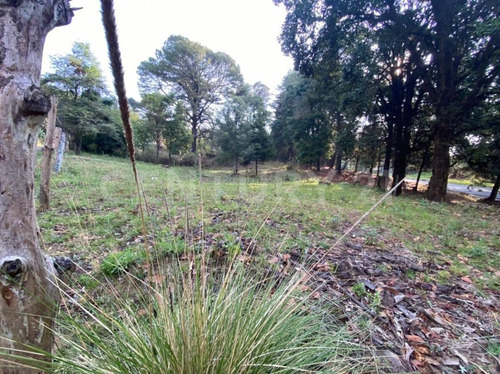 Imagen 4 de 10 de Terreno En Venta Escriturado En Huitzilac Morelos