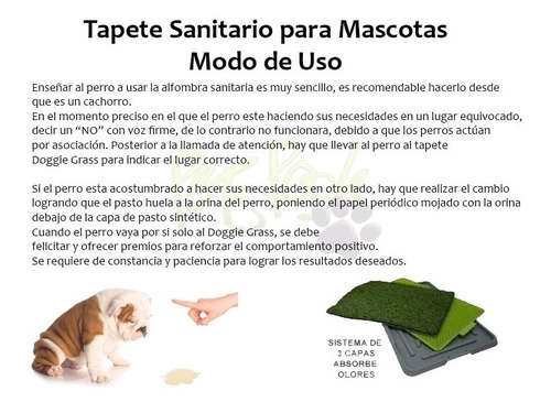 Tapete Entrenador Para Perro Grande Doddie Grass Pasto