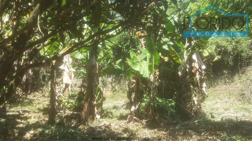 Imagem 7 de 29 de Chácaras À Venda Em Campo Limpo Paulista/sp - Compre O Seu Chácaras Aqui! - 1434391
