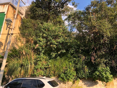 Imagen 4 de 6 de Terreno Venta En Condado De Sayavedra