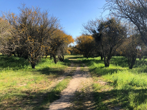 Imagen 8 de 22 de Lindos Sitios