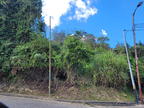 Terreno Venta La Lagunita. Yd