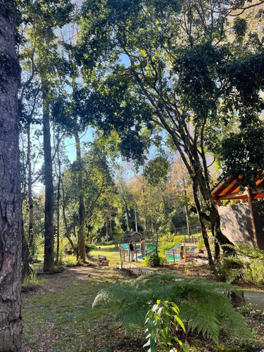 Lindo Departamento (79616)
