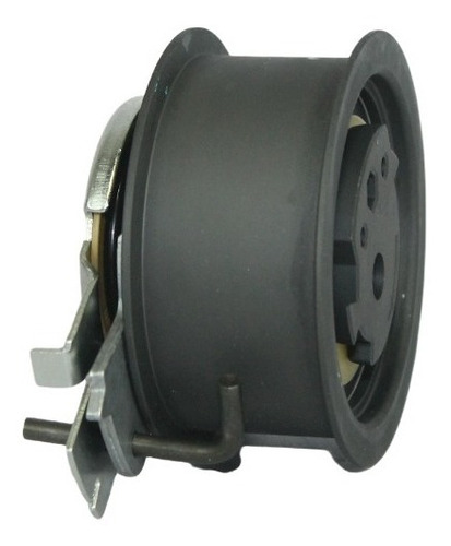 Polea Tensora Banda Vw Bora Eurovan 2.0 Tdi 2005-2015