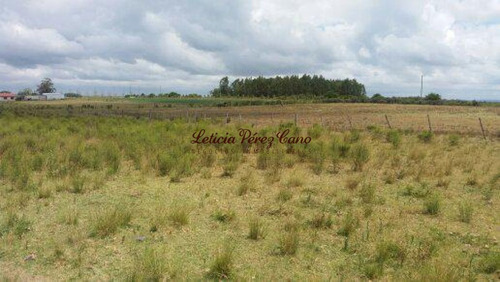 Imagen 3 de 8 de Venta Chacra En El Límite De Maldonado Y Lavalleja.