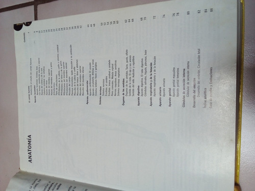 Visual. Enciclopedia Autodidacta Estudiantil (Usado)