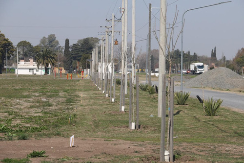 Imagen 29 de 30 de Ecovida - 300 M2