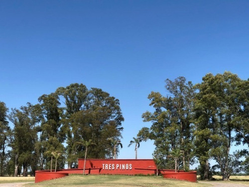 Imagen 12 de 15 de Lote Los Tres Pinos