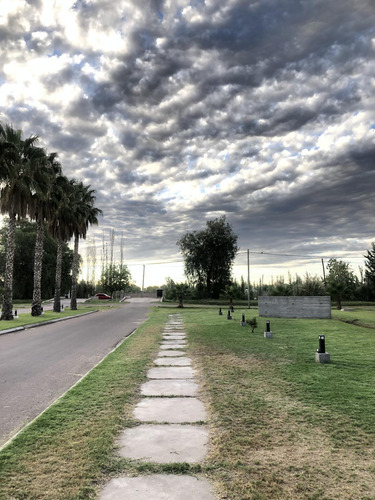 Terreno En Venta En Barrio Privado Viñas Del Sur - San Rafael - Mendoza
