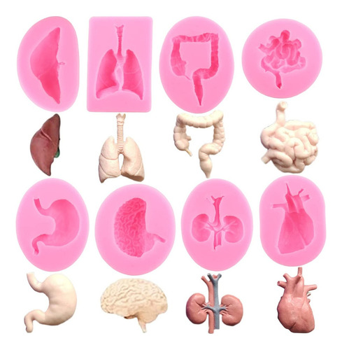 8 Moldes De Silicona Para Órganos Humanos [u]