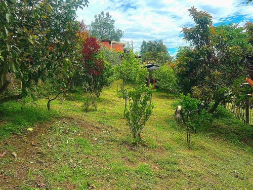 Imagen 18 de 18 de Casa Campestre En Guarne Lote De 425 Metros No Es Pro Indiviso 380 Millones