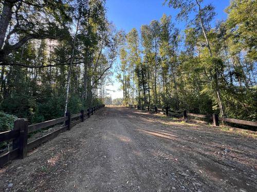 Parcela De 5000 M2 En Molco, A 900 M Del Lago