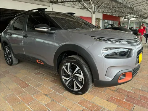 C4 Cactus Shine