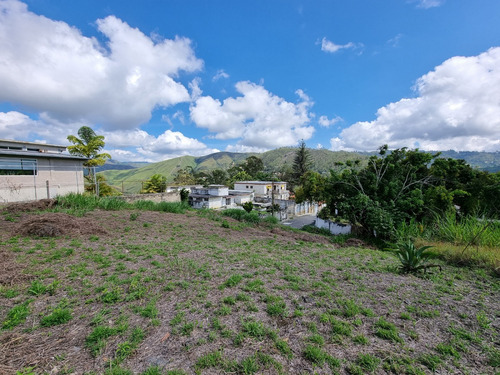 Venta De Teerno Plano En Gran Oportunidad Y Buena Zona En Colinas De Carrizal Urbanización Cerro Grande Miranda