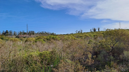 Vendo Campo 200 Mts De Frente Ruta 1
