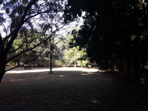 Terreno Venta - 20x56mts - 1119mts2 Totales - El Rodeo, Abasto, La Plata