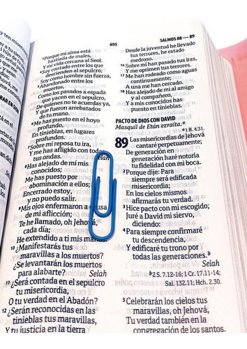 Biblia Rosa Estuche Tipo Cartera Elegante Reina Valera 1960