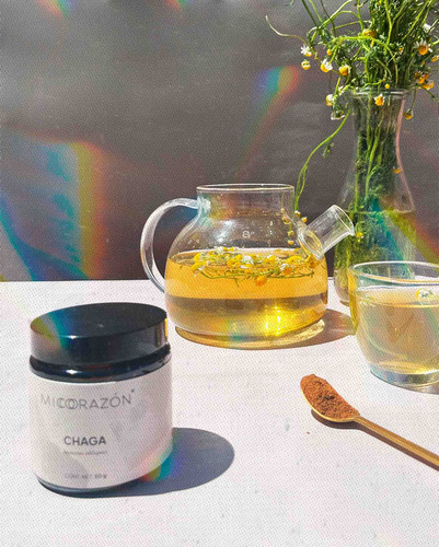 Mico Corazón | Hongo Chaga: Antiinflamatorio