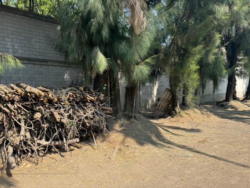 Terreno En Renta En Azcapotzalco, Amplio Uso De Suelo