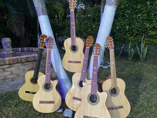 Guitarras Acusticas Edicion Especial+forro+ Metodo+limpiador