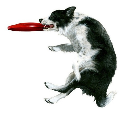 Juguete Frisbee Pequeño Para Mascotas Ø18cm