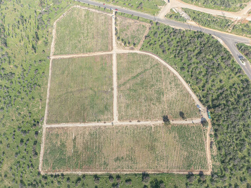 Imagen 7 de 44 de Hacienda Los Aromos