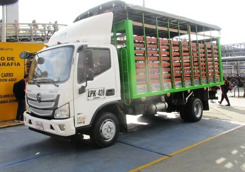 Foton Aumark Bj1108 Vejea-fa - Estacas