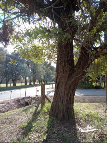 Venta Lote Pilar, Manzanares