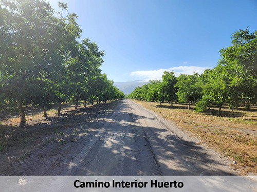 Campo Nogales Productivo Oportunidad
