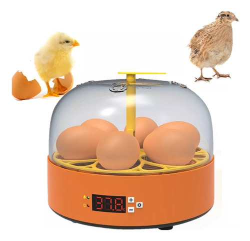 Incubadora Para Huevos De Aves 
