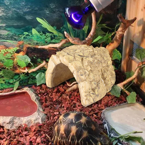 Refugio Para Reptiles En Reposo, Escalera De Estilo B