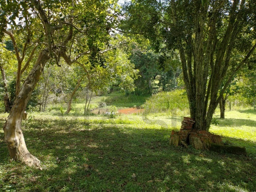 Imagem 17 de 30 de Sítio De 3,5 Alqueires, Excelente Localização! Com Área Aberta Para Criação Recreativa E Mata Nativa Para Trilha E Caminhada.. - 237 - 69821549