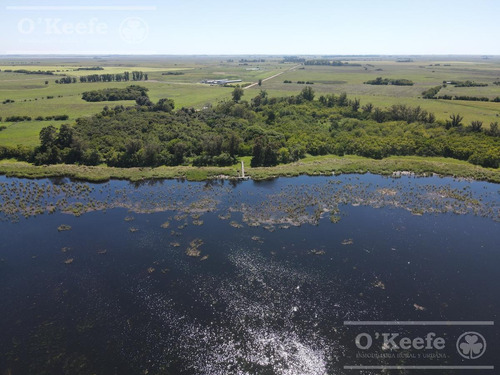 Imagen 2 de 25 de Campo En Venta En Lezama - 530 Has. Ideal Turismo Rural Con Laguna. Pesca - Retasado